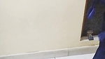 VID-20241-WA0124574351