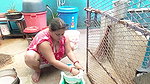 VID-20241-WA0124574354