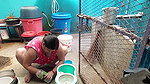 VID-20241-WA0124574354