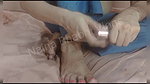VID-20241-WA0124574432