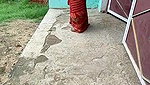 VID-20241-WA0124574559