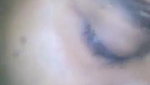 VID-20241-WA0124574662