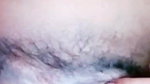 VID-20241-WA0124574685