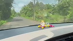 Sexy indian wife showing bOObs while driving car