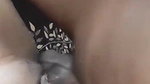 Wife fucked hard
