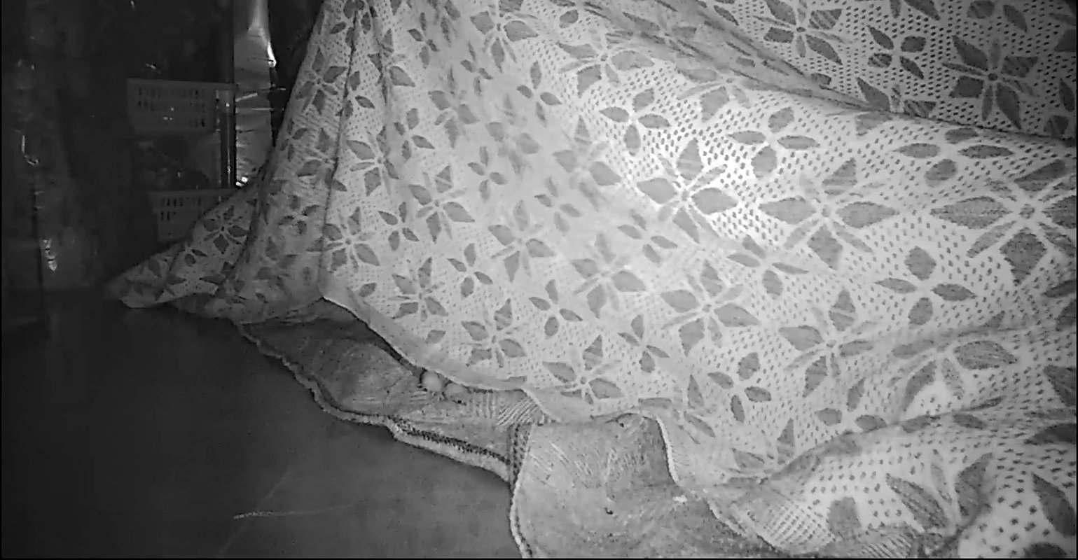 Indian husband big dicky show and fuking wife208