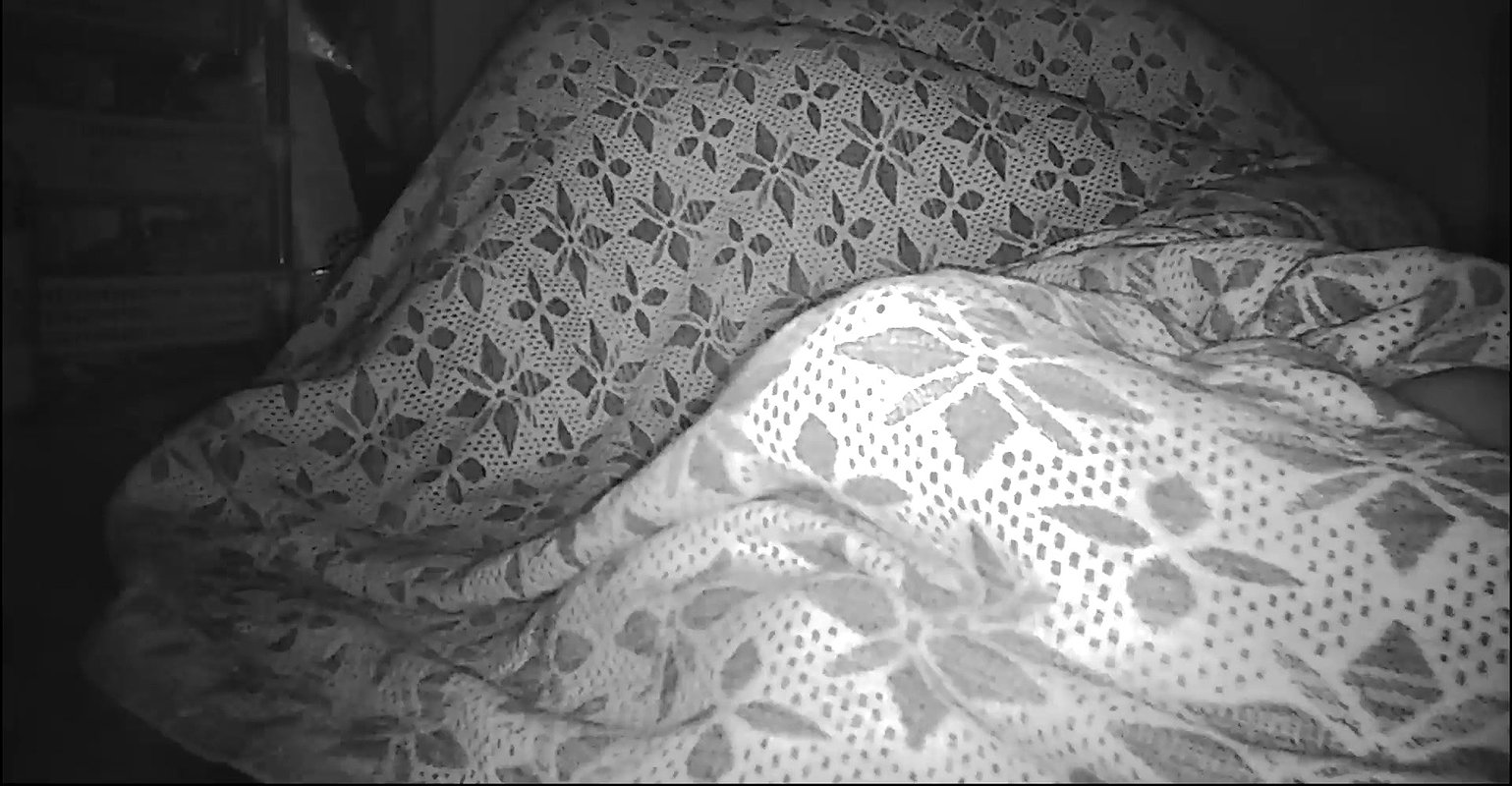 Indian wife big boobs kissing ass260
