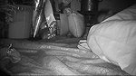 Indian wife big busy showing an