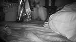 Indian wife big busy showing an