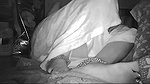 Indian wife biggest dicky showing9