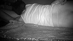 Indian wife busy kissing ass cc
