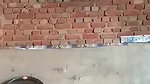 Vill Devar bhabhi having