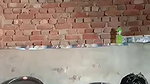 Vill Devar bhabhi having