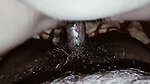 Indian village couple sex