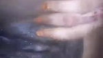 Gf Showing