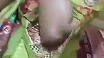 Bhabi Sucking Dick