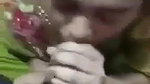 Bhabi Sucking Dick
