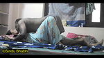 beautiful newly married sindu bhabhi fucked by her husband