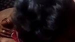 Bhabi Pussy Licking by husband