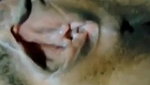 Bengali sexy wife fucking hard