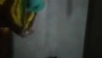 Alone Village aunty open Sex
