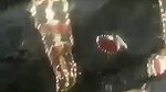 Paki girl riding
