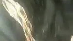 Paki girl riding