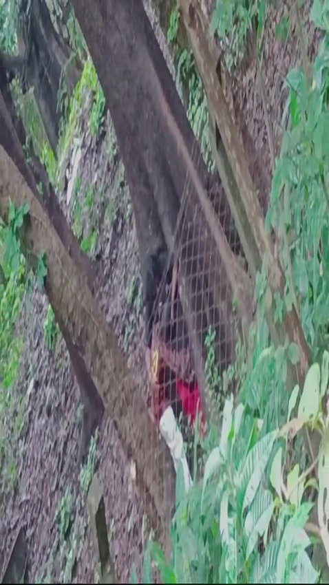 Frame 10