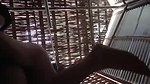 Village Devar bhabhi fucking hard with moans