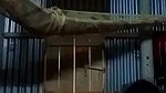 Horny Boudi Masturbating and Riding pillow