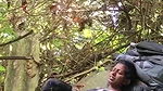 Same place different couple fucking video -17