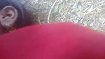 Punjabi Kuddu Outdoor Sex – Movies