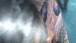 Juicy Indian Slut Blowjob – Movies