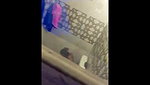 Desi Babe Caught Bathing – Movies