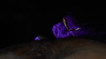 Mallu Bhabhi Sucking Cock – Movies