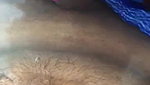Indian Wife Sucking Cock – Movies