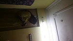 Juicy Indian Bhabhi Naked – Movies