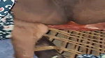 Puja Bhabhi and Her Devar Day Time Romance and Midnight Fuck 2 Clips