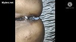Desi couple first time anal