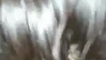 Desi Girl Ridding on the Husband Dick