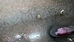 Desi village wife pee after fucking