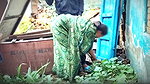 Indian Desi Bhabhi devar sex in the outdoor vegeta