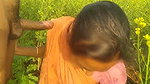 My Indian Bhabhi ko sarso ke khet me lund chusaya,