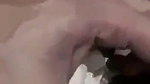 Milk tanker