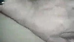 HOT INDIAN GIRLFRIEND CAMERA SHY RECORDED BY BF
