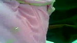 Sari wali cute bhabhi fucking