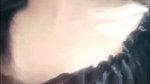 VID-20181228-WA004525