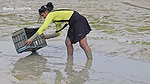 Amazing Country girl Fishing in Mud-