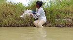Amazing Mouni Net Fishing Piranha Fish