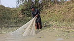 Amazing new Village girl Fishing video